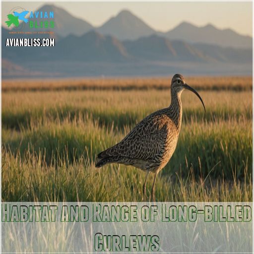 Habitat and Range of Long-billed Curlews