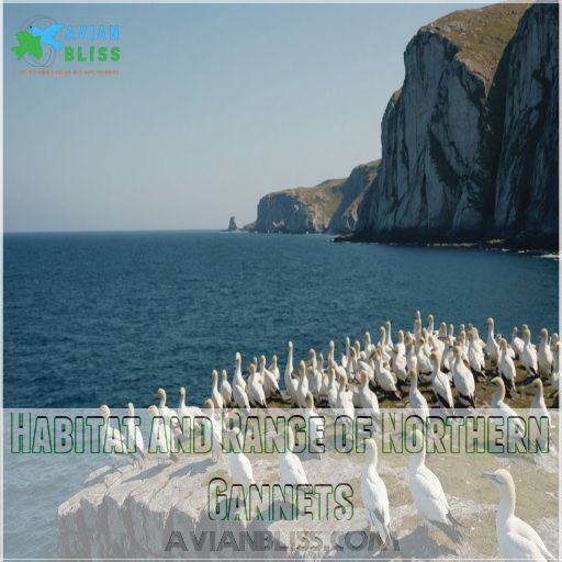 Habitat and Range of Northern Gannets