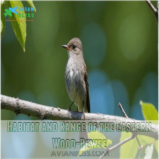 Habitat and Range of the Eastern Wood-Pewee