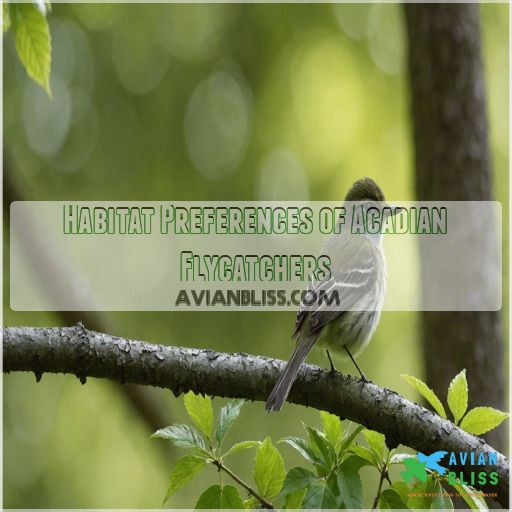 Habitat Preferences of Acadian Flycatchers