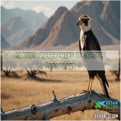 Habitat Preferences of Crested Caracaras