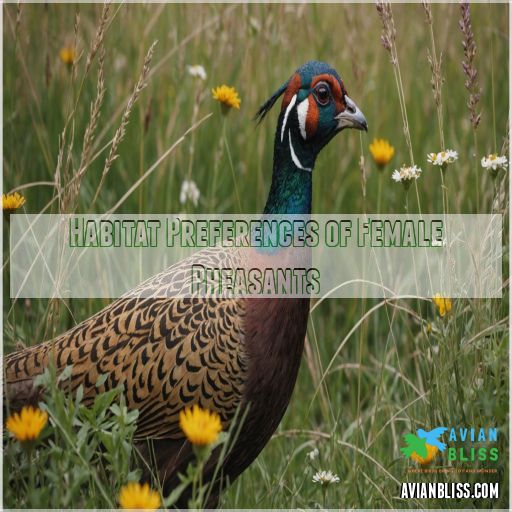 Habitat Preferences of Female Pheasants