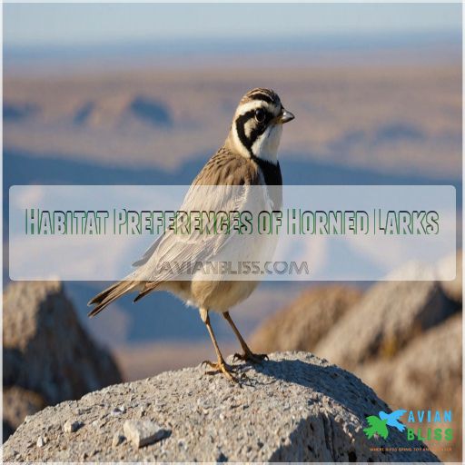 Habitat Preferences of Horned Larks