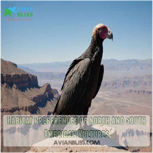 Habitat Preferences of North and South American Vultures