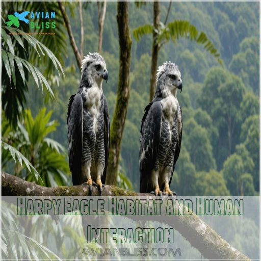 Harpy Eagle Habitat and Human Interaction