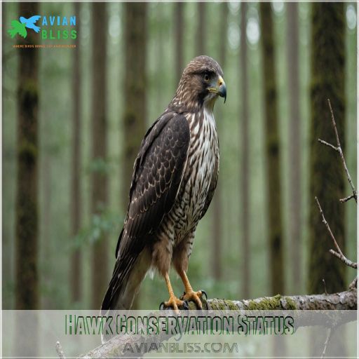 Hawk Conservation Status