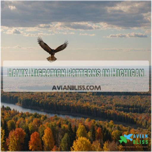 Hawk Migration Patterns in Michigan