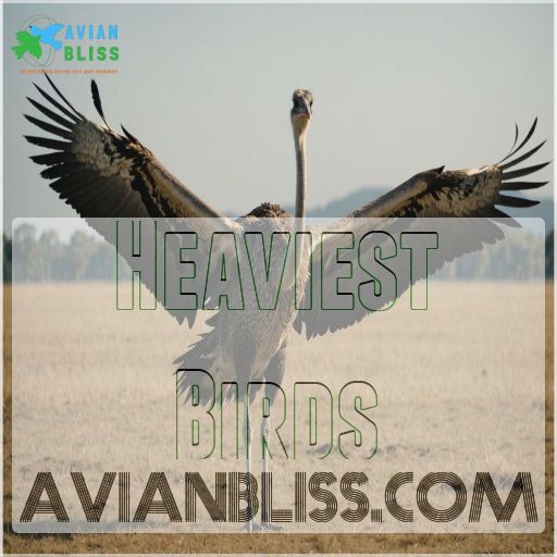 Heaviest Birds