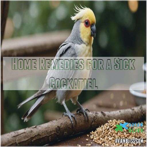 Home Remedies for a Sick Cockatiel