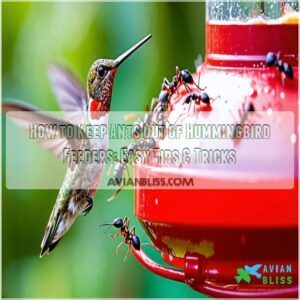 how to keep ants out of hummingbird feeders