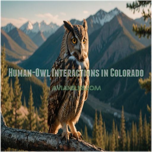 Human-Owl Interactions in Colorado