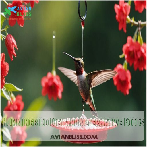 Hummingbird Diet and Alternative Foods