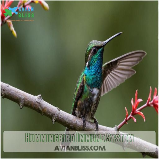 Hummingbird Immune System