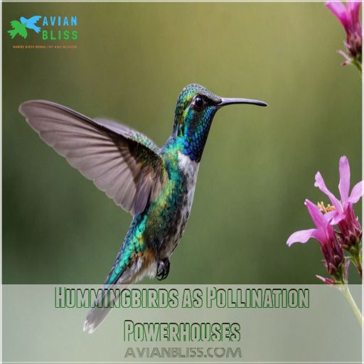 Hummingbirds as Pollination Powerhouses