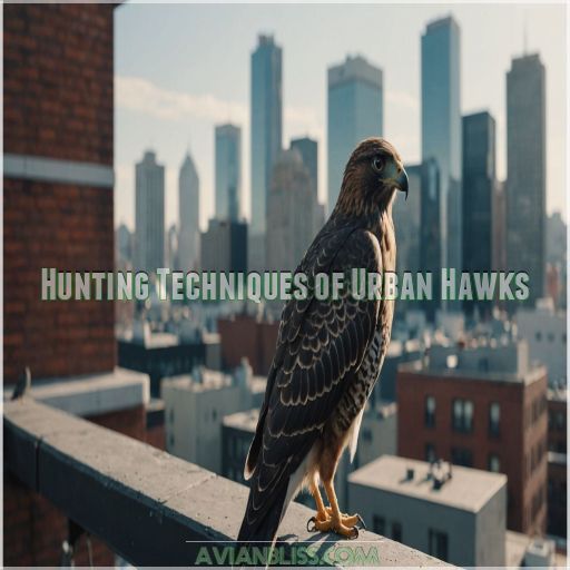 Hunting Techniques of Urban Hawks