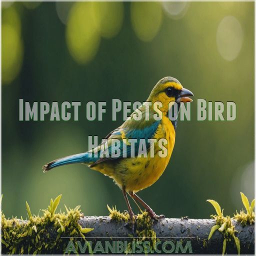 Impact of Pests on Bird Habitats