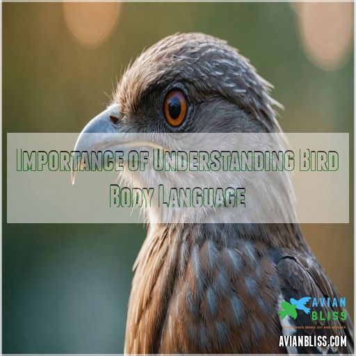 Importance of Understanding Bird Body Language