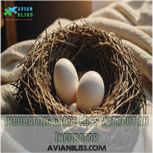 Incubating Goose Eggs Without an Incubator