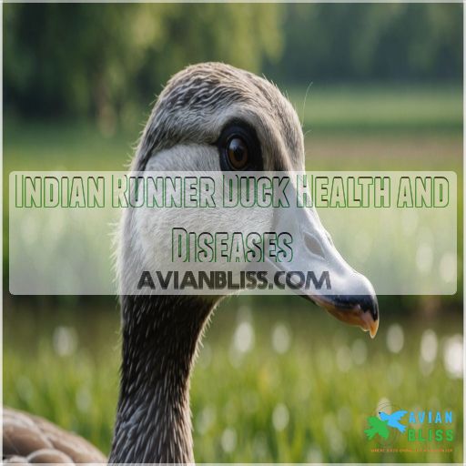 Indian Runner Duck Health and Diseases