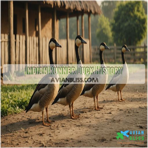 Indian Runner Duck History