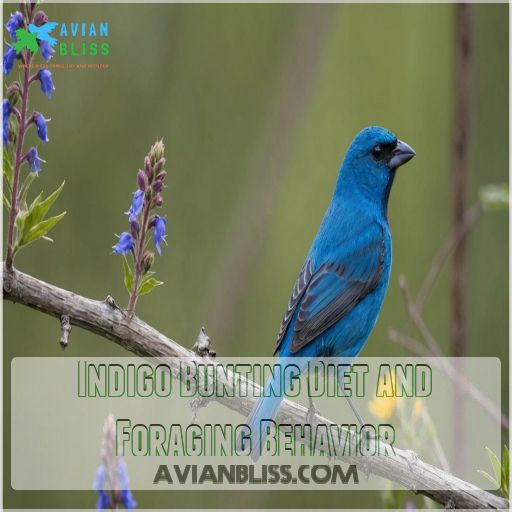 Indigo Bunting Diet and Foraging Behavior