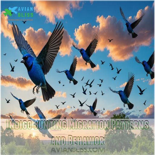 Indigo Bunting Migration Patterns and Behavior