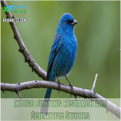 Indigo Bunting Research and Scientific Studies