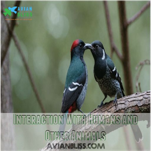 Interaction With Humans and Other Animals