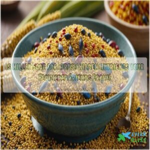 is millet good for birds learn the nutrient content more