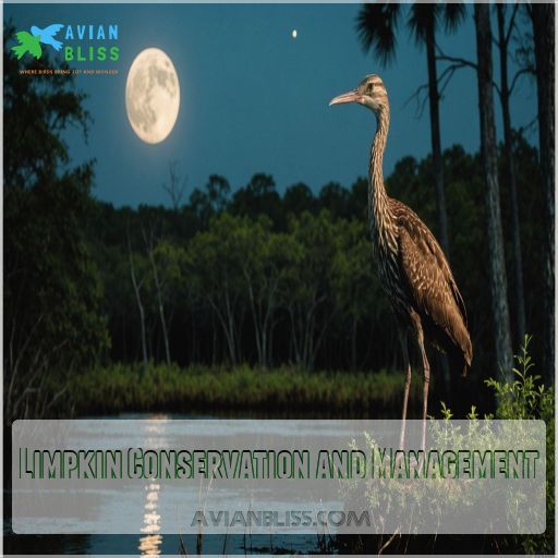 Limpkin Conservation and Management