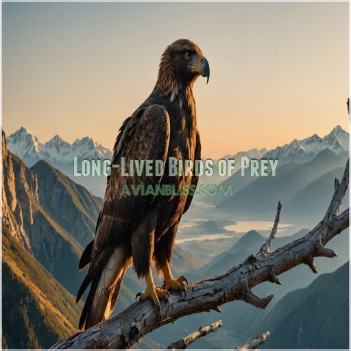 Long-Lived Birds of Prey