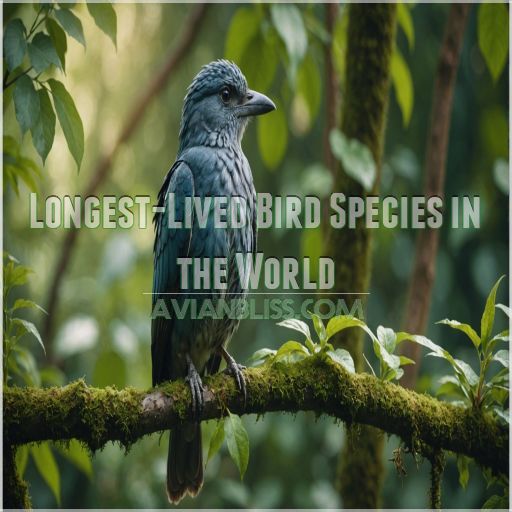 Longest-Lived Bird Species in the World