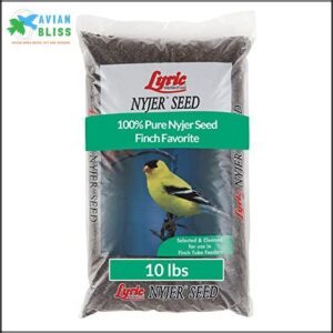 Lyric Nyjer Seed Wild Bird