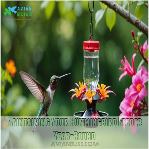 Maintaining Your Hummingbird Feeder Year-Round