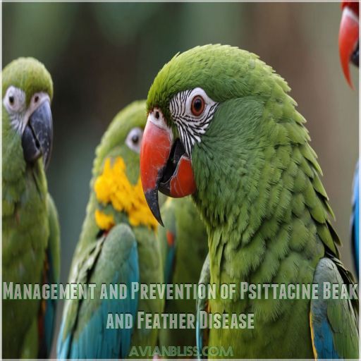 Management and Prevention of Psittacine Beak and Feather Disease