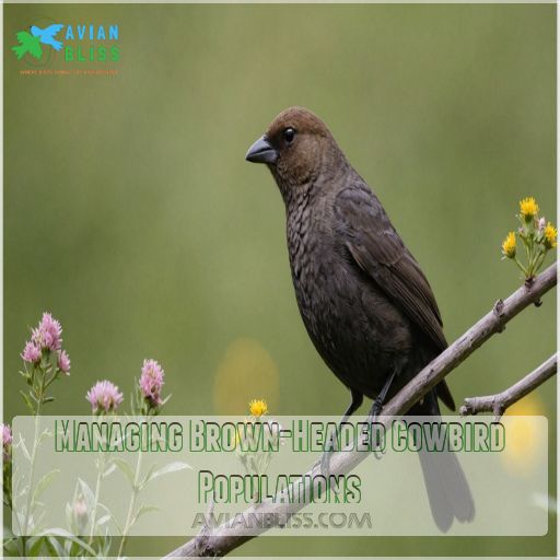 Managing Brown-Headed Cowbird Populations