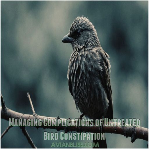 Managing Complications of Untreated Bird Constipation