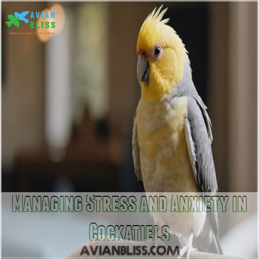 Managing Stress and Anxiety in Cockatiels