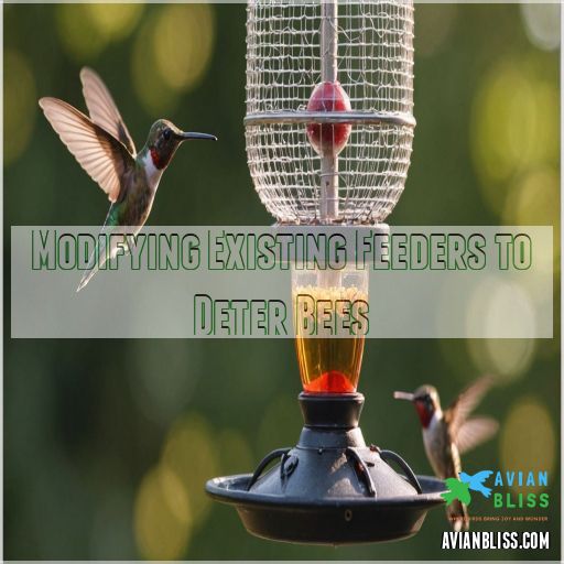 Modifying Existing Feeders to Deter Bees