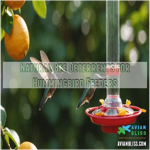 Natural Bee Deterrents for Hummingbird Feeders