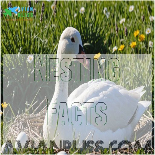 Nesting Facts