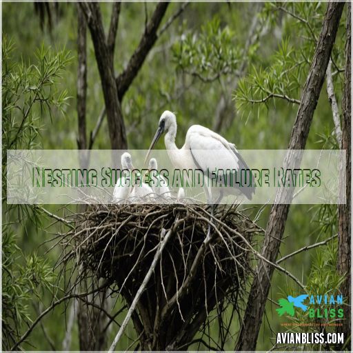 Nesting Success and Failure Rates