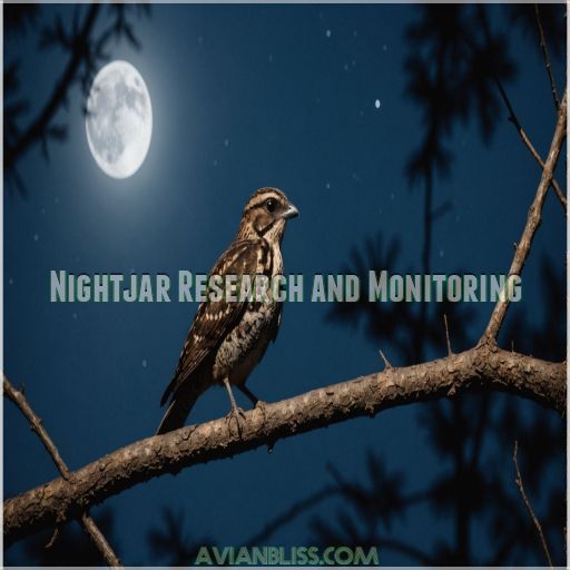 Nightjar Research and Monitoring