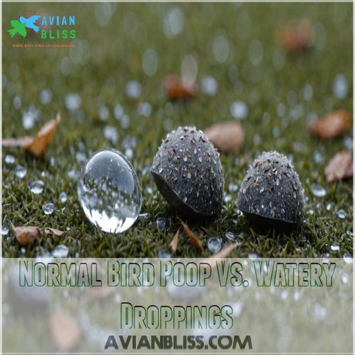 Normal Bird Poop Vs. Watery Droppings