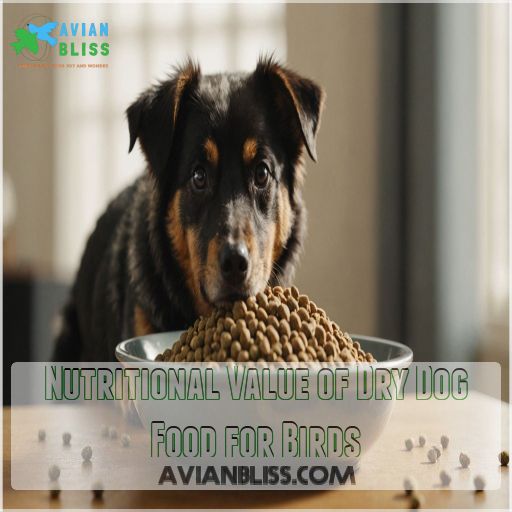 Nutritional Value of Dry Dog Food for Birds