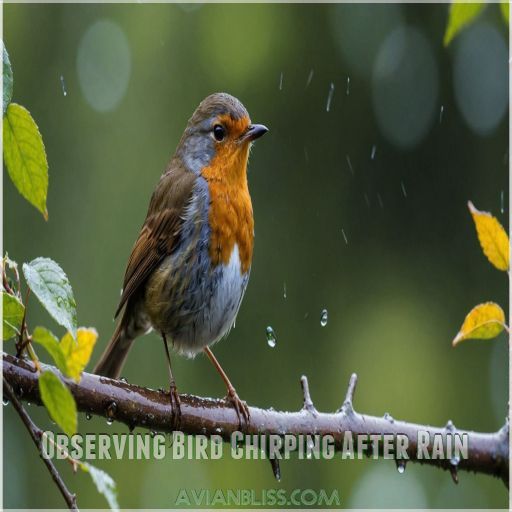 Observing Bird Chirping After Rain