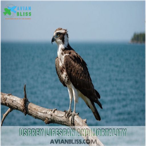 Osprey Lifespan and Mortality