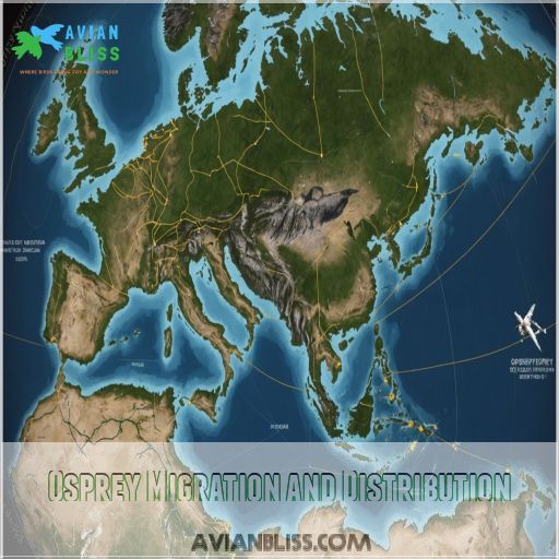 Osprey Migration and Distribution