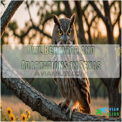 Owl Behavior and Adaptations in Texas