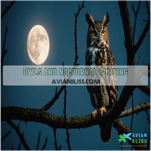 Owls and Nocturnal Hunting